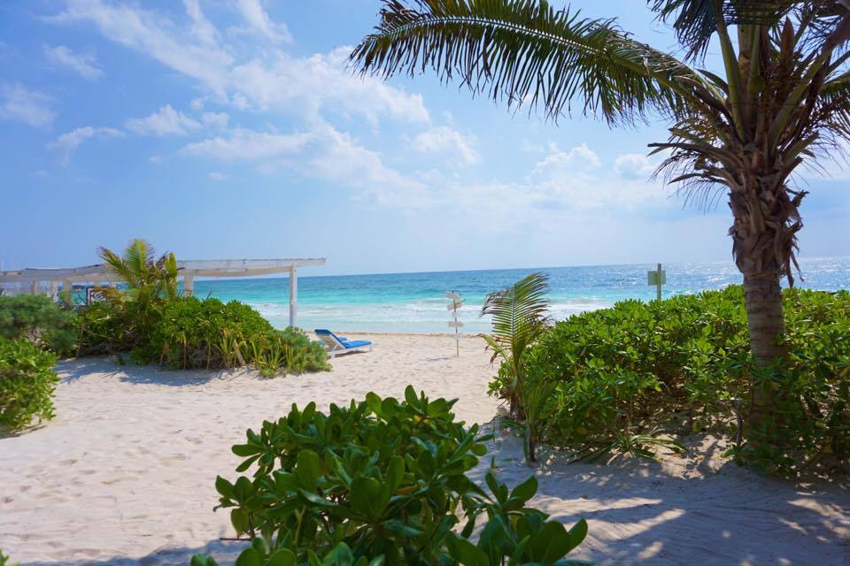 Check out the coolest cabanas in Tulum + learn where to eat and what to do while you are there.