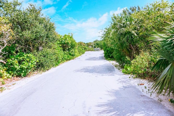 Castaway Cay Path