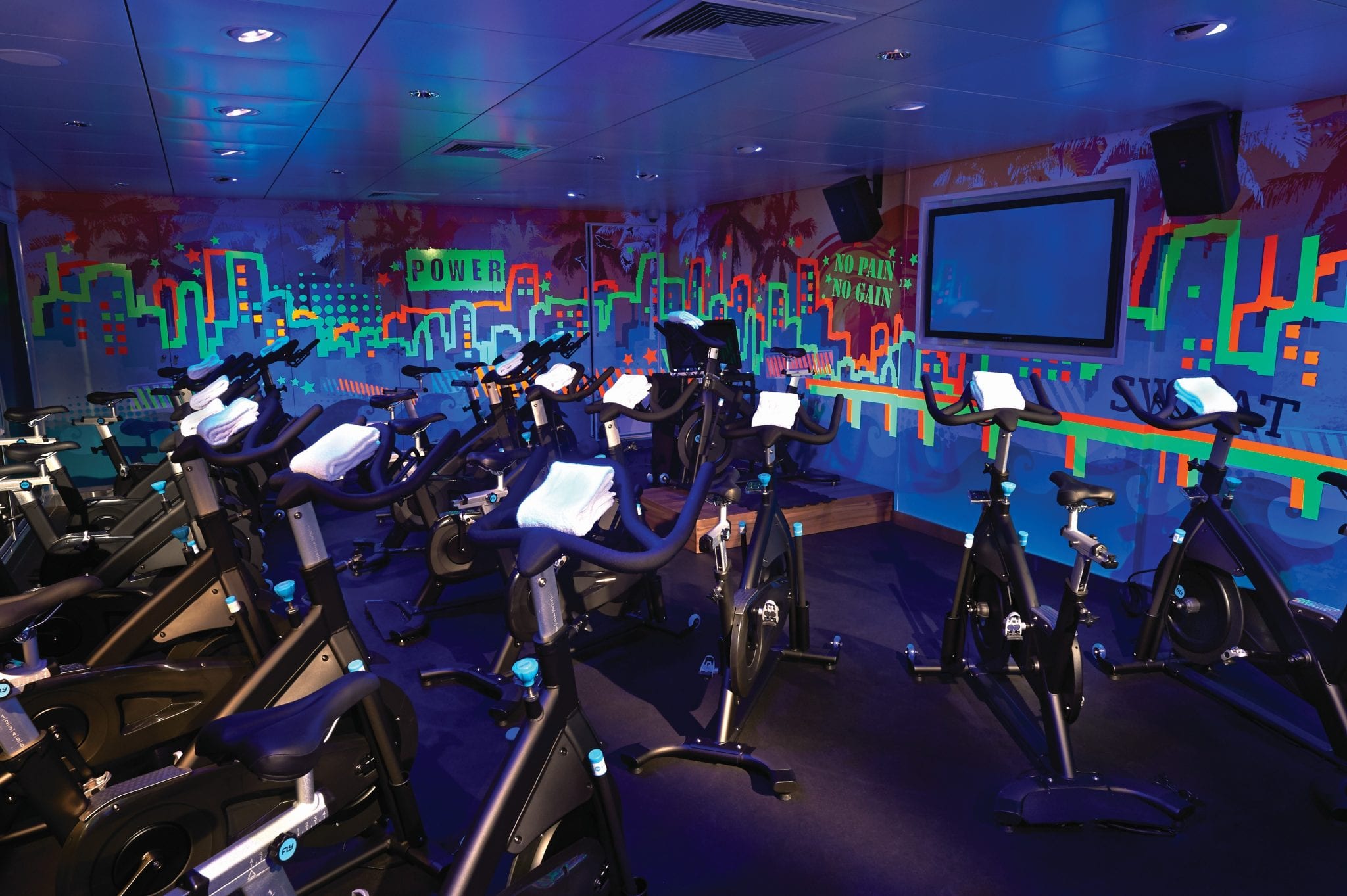 avoid gaining weight on a cruise by hitting up the gym,