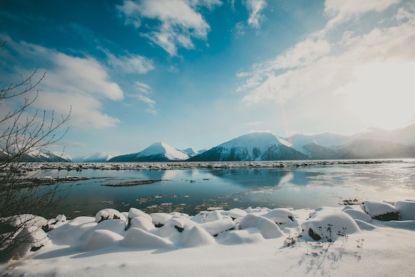 Juneau whale watching