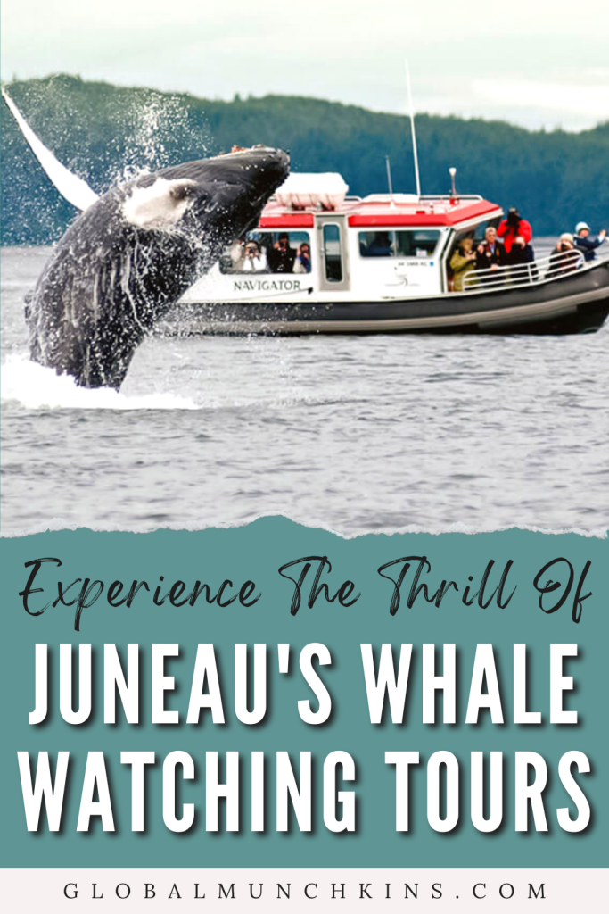 juneau whale watching season
