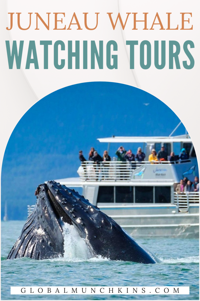 best whale watching in juneau